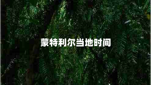 蒙特利爾當(dāng)?shù)貢r間