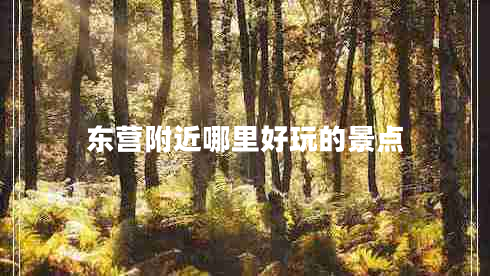 東營附近哪里好玩的景點