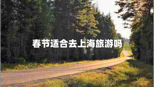 春節(jié)適合去上海旅游嗎