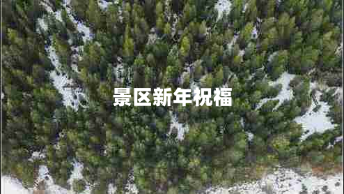 景區(qū)新年祝福