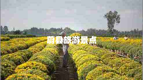 蔚縣旅游景點(diǎn)