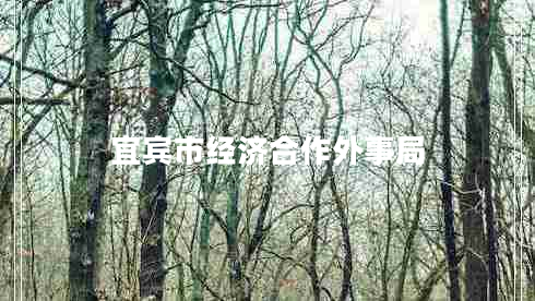 宜賓市經濟合作外事局