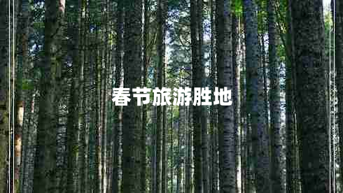 春節(jié)旅游勝地