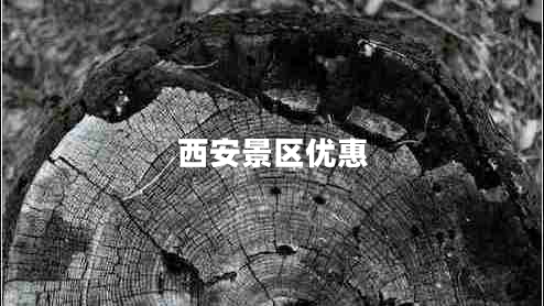 西安景區(qū)優(yōu)惠