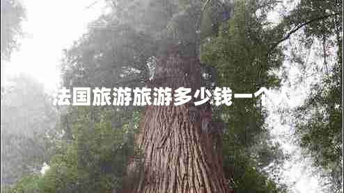 法國(guó)旅游旅游多少錢一個(gè)人