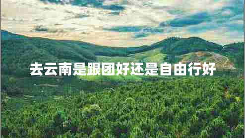 去云南是跟團好還是自由行好 去云南是跟團好還是自由行好