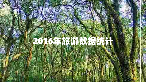 2016年旅游數(shù)據(jù)統(tǒng)計(jì)