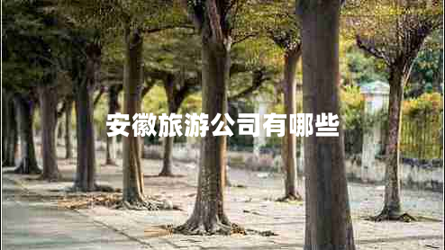 安徽旅游公司有哪些 安徽旅游公司有哪些