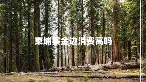 柬埔寨金邊消費高嗎