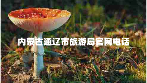 內(nèi)蒙古通遼市旅游局官網(wǎng)電話