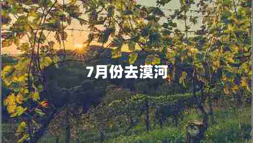 7月份去漠河 7月份去漠河