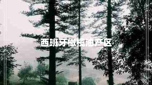西班牙橄欖油產(chǎn)區(qū) 西班牙橄欖油產(chǎn)區(qū)