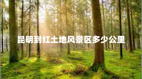 昆明到紅土地風景區(qū)多少公里