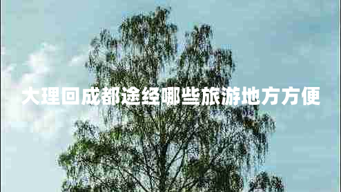 大理回成都途經(jīng)哪些旅游地方方便