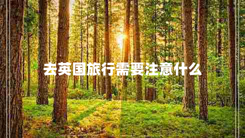 去英國(guó)旅行需要注意什么