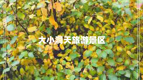 大小洞天旅游景區(qū)