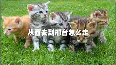 從西安到邢臺(tái)怎么走