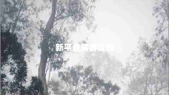 新平自駕游攻略 新平自駕游攻略