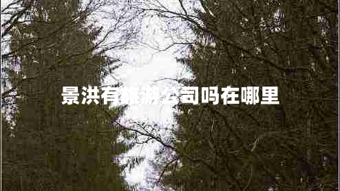 景洪有旅游公司嗎在哪里 景洪有旅游公司嗎在哪里