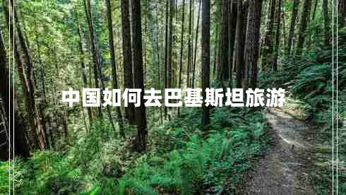 中國(guó)如何去巴基斯坦旅游