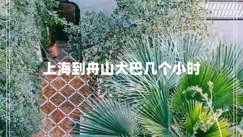 上海到舟山大巴幾個(gè)小時(shí)