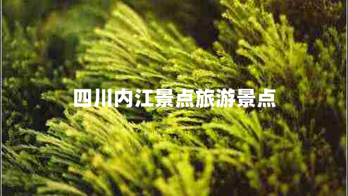 四川內(nèi)江景點(diǎn)旅游景點(diǎn) 四川內(nèi)江景點(diǎn)旅游景點(diǎn)
