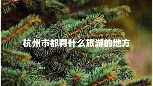 杭州市都有什么旅游的地方