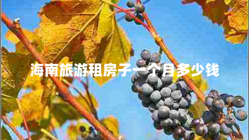 海南旅游租房子一個月多少錢