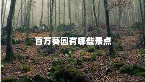 百萬葵園有哪些景點 百萬葵園有哪些景點