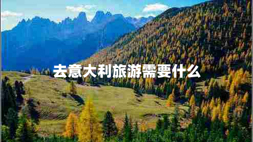 去意大利旅游需要什么