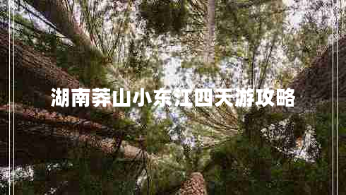 湖南莽山小東江四天游攻略