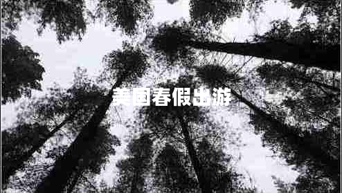 美國(guó)春假出游