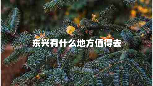 東興有什么地方值得去