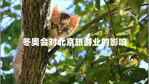 冬奧會對北京旅游業(yè)的影響