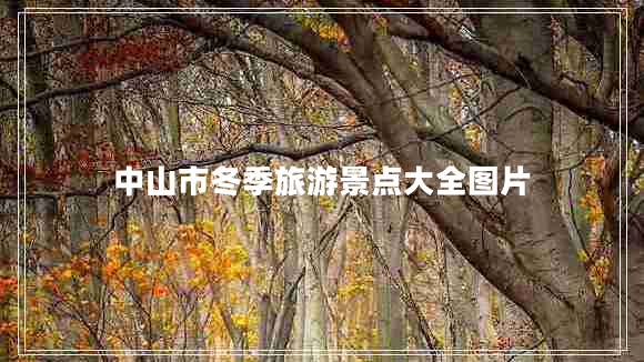 中山市冬季旅游景點(diǎn)大全圖片