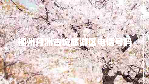 柳州丹洲古城旅游區(qū)電話號碼