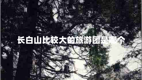 長白山比較大的旅游團是哪個