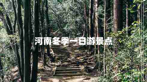 河南冬季一日游景點