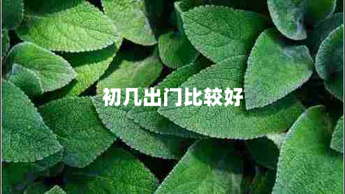 初幾出門比較好