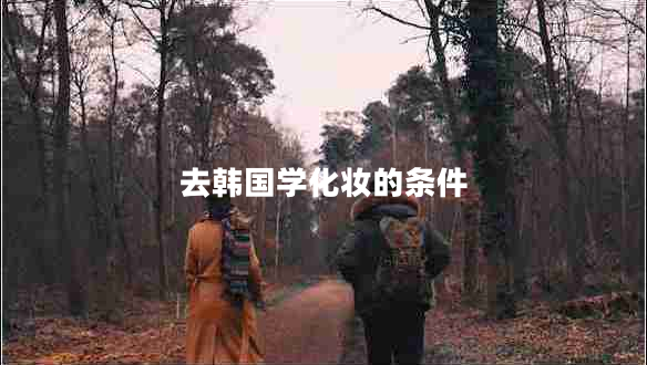 去韓國學(xué)化妝的條件 去韓國學(xué)化妝的條件