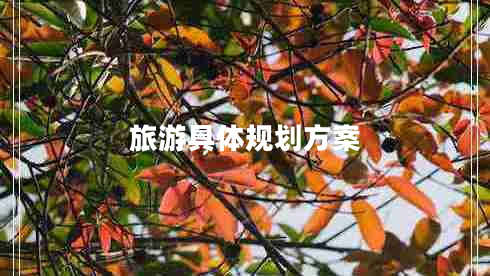 旅游具體規(guī)劃方案