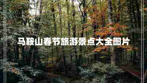 馬鞍山春節(jié)旅游景點大全圖片