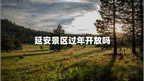 延安景區(qū)過年開放嗎