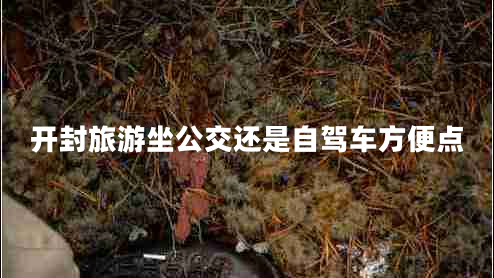 開封旅游坐公交還是自駕車方便點(diǎn)