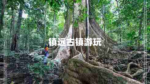 鎮(zhèn)遠(yuǎn)古鎮(zhèn)游玩