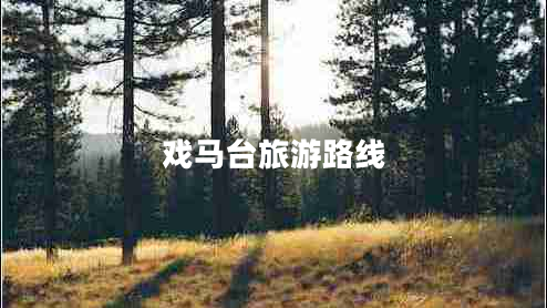戲馬臺旅游路線 戲馬臺旅游路線