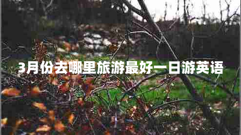 3月份去哪里旅游最好一日游英語