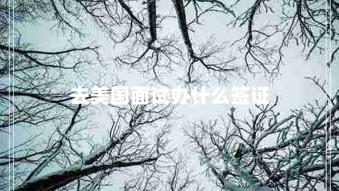 去美國面試辦什么簽證 去美國面試辦什么簽證