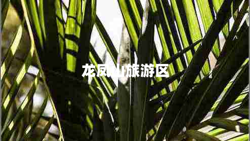 龍鳳山旅游區(qū)