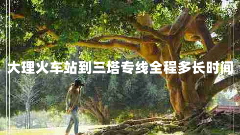 大理火車站到三塔專線全程多長時間
